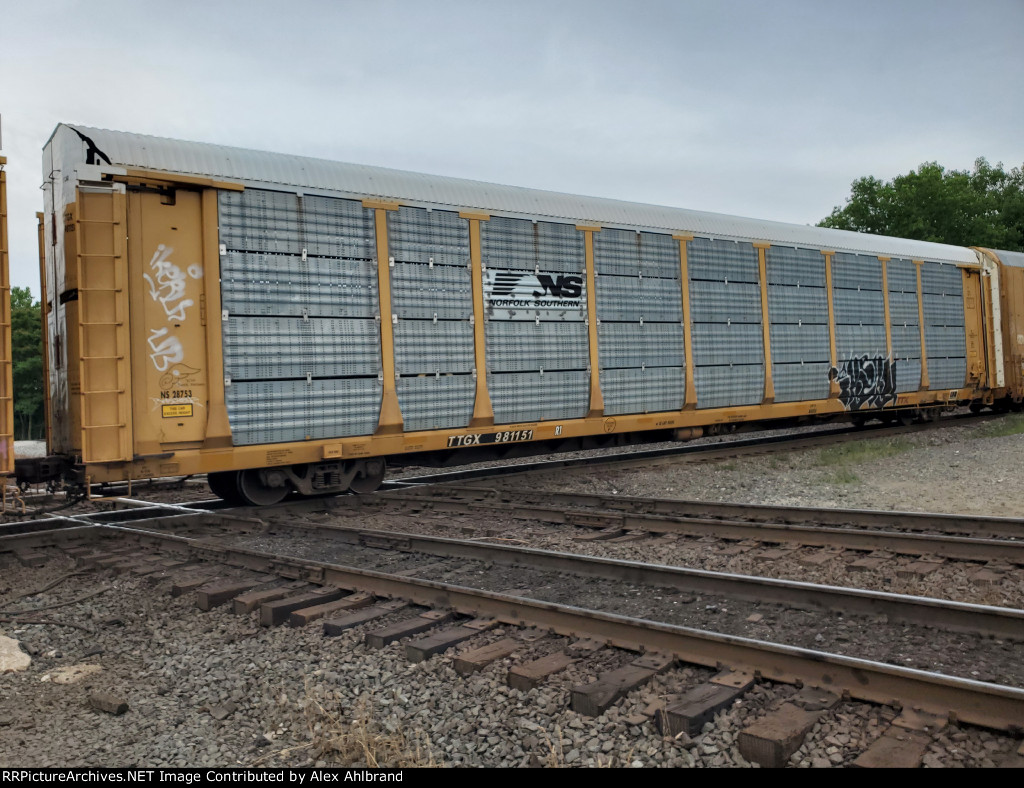 TTGX 981151